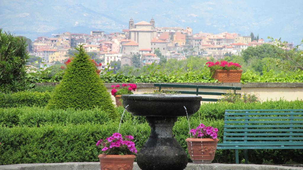 Villa Tuscolana Frascati Exterior photo